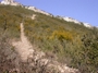 UNE BELLE DESCENTE.