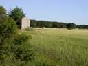 CHAMP DE BLE